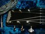 Rickenbacker B/6 LapSteel, Black: Close up - Free