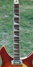 Rickenbacker 365/6 Capri, Autumn Gold: Neck - Front