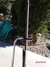 Rickenbacker 4003/4 , Midnightblue: Free image2