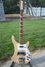 Rickenbacker 4003/4 , Mapleglo: Full Instrument - Front