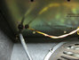 Rickenbacker Road R14/amp , Black: Free image2