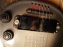Rickenbacker 59/6 LapSteel, Gray Sunburst: Close up - Free2