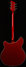 Rickenbacker 360/6 , Ruby: Full Instrument - Rear