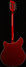 Rickenbacker 360/12 , Ruby: Full Instrument - Rear