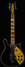 Rickenbacker 660/12 , Jetglo: Full Instrument - Front