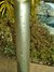 Rickenbacker A22/6 LapSteel, Silver: Neck - Rear