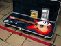 Rickenbacker 330/12 , Fireglo: Close up - Free2