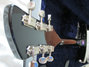 Rickenbacker 325/6 V63, Jetglo: Close up - Free2