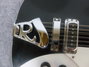 Rickenbacker 620/12 , Jetglo: Free image