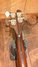 Rickenbacker 4001/4 , Walnut: Neck - Rear