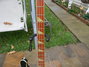 Rickenbacker 4001/4 , Jetglo: Free image2