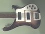 Rickenbacker 4003/4 Mod, MonteBrown: Body - Front