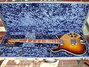 Rickenbacker 660/12 , MonteBrown: Free image2