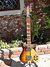 Rickenbacker 660/12 , MonteBrown: Full Instrument - Front