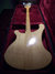 Rickenbacker 4003/4 , Mapleglo: Full Instrument - Rear