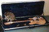 Rickenbacker 360/6 , Mapleglo: Neck - Front