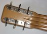 Rickenbacker SD/6 LapSteel, Two tone brown: Headstock - Rear