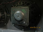 Rickenbacker TR75/amp , Black: Close up - Free