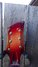 Rickenbacker 660/6 Mod, Fireglo: Headstock