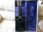 Rickenbacker B/6 LapSteel, Black: Full Instrument - Rear