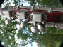 Rickenbacker 360/12 , Fireglo: Headstock