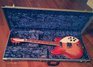 Rickenbacker 360/6 , Fireglo: Full Instrument - Front