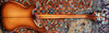 Rickenbacker 4001/4 BT, Autumnglo: Full Instrument - Rear