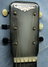 Rickenbacker 59/6 LapSteel, Gray Sunburst: Close up - Free2