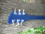 Rickenbacker 360/6 , Midnightblue: Headstock - Rear