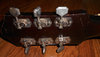 Rickenbacker Ken Roberts/6 , Two tone brown: Headstock - Rear