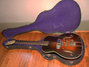 Rickenbacker Ken Roberts/6 , Two tone brown: Close up - Free2