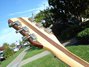 Rickenbacker 381/6 V69, Mapleglo: Headstock - Rear