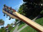 Rickenbacker 381/6 V69, Mapleglo: Neck - Rear