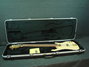 Rickenbacker 4004/4 Cii, Mapleglo: Close up - Free