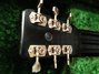 Rickenbacker B/6 LapSteel, Black: Headstock - Rear