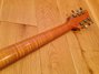 Rickenbacker 850/6 Combo, Natural: Neck - Rear