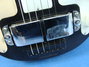 Rickenbacker B Post War/6 LapSteel, Black: Free image