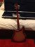 Rickenbacker 360/6 , Fireglo: Full Instrument - Rear