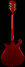 Rickenbacker 660/12 , Ruby: Neck - Rear