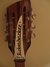 Rickenbacker 360/12 , Walnut: Headstock