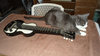 Rickenbacker B/7 LapSteel, Black: Free image2