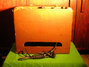 Rickenbacker M-88/amp Ace, Two tone brown: Full Instrument - Front