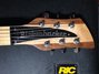 Rickenbacker 650/6 Dakota, Natural Walnut: Headstock