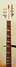 Rickenbacker 360/6 , Mapleglo: Neck - Front