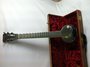 Rickenbacker A22/6 Post War, Silver: Neck - Front