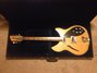 Rickenbacker 360/6 WB BH BT, Mapleglo: Full Instrument - Front