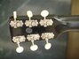 Rickenbacker Electro Spanish/6 Round Neck, Black: Headstock - Rear