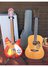 Rickenbacker 330/12 , Fireglo: Full Instrument - Front