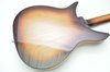 Sep 2009 Rickenbacker 310/6 C64, MonteBrown: Body - Rear