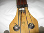 Rickenbacker 3000/4 Mod, Brown: Headstock